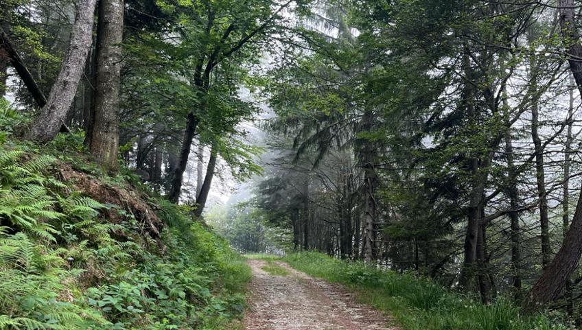 Pedala in Granda! I Luoghi della Resistenza in Valle Ellero